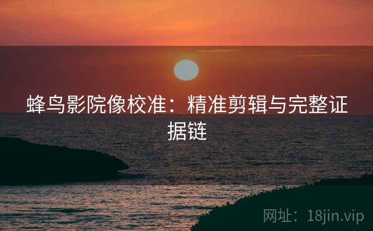 蜂鸟影院像校准：精准剪辑与完整证据链